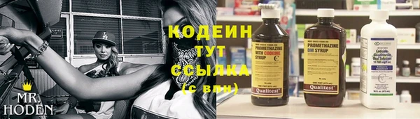 прущий лед Абаза