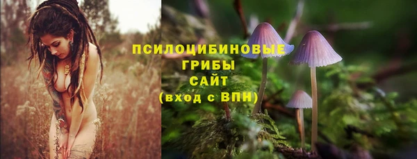 прущий лед Абаза